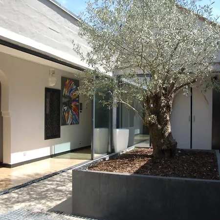 Le Loft De Patricia