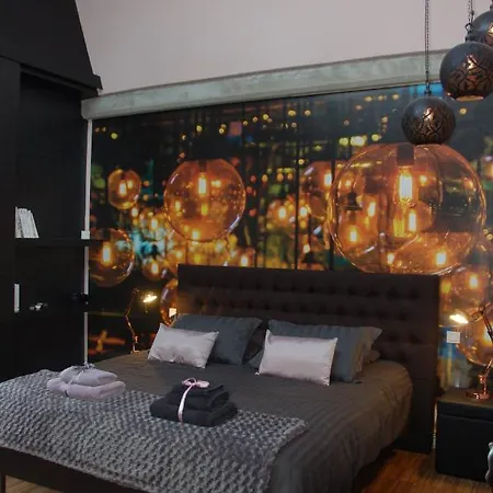 Le Loft De Patricia 3*